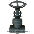 Valve de porte en acier forgé API602 1500lb 2500lb